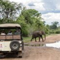 ZMB EAS SouthLuangwa 2016DEC10 KapaniLodge 022 : 2016, 2016 - African Adventures, Africa, Date, December, Eastern, Kapani Lodge, Mfuwe, Month, Places, South Luangwa, Trips, Year, Zambia